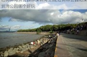 红树林海滨公园跟深圳湾公园,红树林公园和深圳湾公园哪个好玩