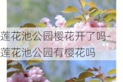 莲花池公园樱花开了吗-莲花池公园有樱花吗