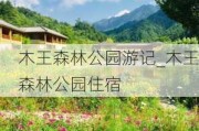 木王森林公园游记_木王森林公园住宿