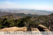 淄博鲁山森林风景区_淄博鲁山森林公园门票多少