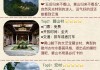 黄山旅游攻略私人定制_黄山旅游官方预订平台