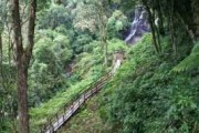 天台山旅游攻略重庆推荐-天台山景区景点