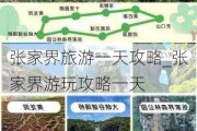 张家界旅游一天攻略_张家界游玩攻略一天