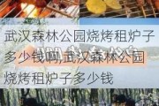 武汉森林公园烧烤租炉子多少钱啊,武汉森林公园烧烤租炉子多少钱