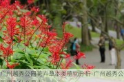 广州越秀公园花卉草本类植物分析-广州越秀公园里有什么景点