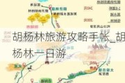 胡杨林旅游攻略手帐_胡杨林一日游