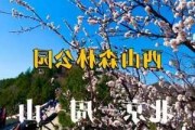 北京森林公园要门票吗-北京森林公园几点关门