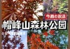 广州帽峰山森林公园攻略_广州帽峰山游玩攻略