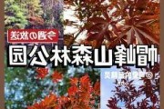 广州帽峰山森林公园攻略_广州帽峰山游玩攻略