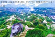 龙胜梯田攻略秋季详解_龙胜梯田最佳旅游时间是几月份