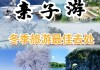 冬季旅游的最佳去处,冬季旅游攻略播放