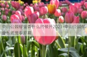 中山公园郁金香什么时候开2021-中山公园郁金香观赏季开幕