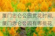 厦门忠仑公园赏花时间,厦门忠仑公园有哪些花