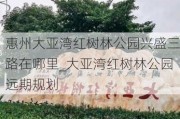 惠州大亚湾红树林公园兴盛三路在哪里_大亚湾红树林公园远期规划