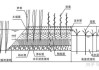 活水公园人工湿地系统的由哪些物种组成能达到什么作用-活水公园平面图