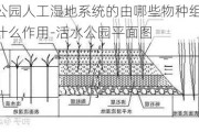 活水公园人工湿地系统的由哪些物种组成能达到什么作用-活水公园平面图