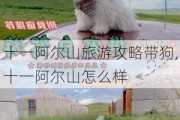 十一阿尔山旅游攻略带狗,十一阿尔山怎么样