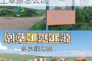 坝上草原自驾游旅游攻略3天,坝上草原旅游攻略去坝上草原怎么玩