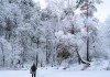 雪乡五日游多少钱,雪乡旅游攻略五日游怎么玩