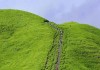 武功山攻略夏季-武功山攻略夏季风景