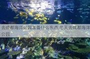 去成都海洋公园准备什么东西,冬天去成都海洋公园