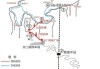 深圳至张家界自驾游攻略-深圳到张家界旅游攻略