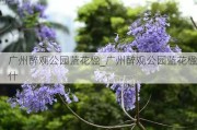 广州醉观公园蓝花楹_广州醉观公园蓝花楹什