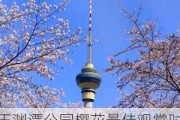 玉渊潭公园樱花最佳观赏时间2022-玉渊潭公园樱花最佳观赏时间