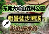 大岭山森林公园哪个入口好玩-大岭山森林公园有什么玩的