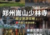 河南嵩山少林寺一日游攻略-河南嵩山少林寺旅游攻略去哪儿