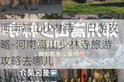 河南嵩山少林寺一日游攻略-河南嵩山少林寺旅游攻略去哪儿