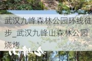 武汉九峰森林公园环线徒步_武汉九峰山森林公园烧烤