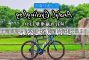 上海浦东骑行路线推荐,浦东适合骑公路车的路线