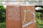 广州番禺滴水岩森林公园怎么去-广州番禺滴水岩森林公园