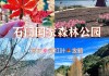 从化石门森林公园一日游跟团-从化石门森林公园一日游