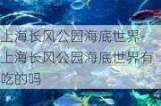 上海长风公园海底世界-上海长风公园海底世界有吃的吗