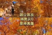 北京世纪森林公园_北京世纪森林公园门票价格