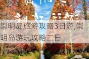 崇明岛旅游攻略3日游,崇明岛游玩攻略二日