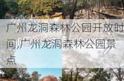 广州龙洞森林公园开放时间,广州龙洞森林公园景点