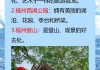 福建旅游景点排名前十介绍-福建旅游景点大全pdf