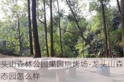 龙头山森林公园果园烧烤场-龙头山森林生态园怎么样