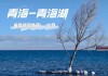 西宁青海湖旅游攻略,西宁青海湖攻略