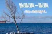 西宁青海湖旅游攻略,西宁青海湖攻略