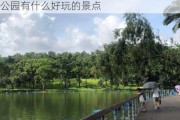 深圳莲花山公园有什么好玩,深圳莲花山公园有什么好玩的景点