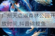 广州天鹿湖森林公园开放时间,抖音锦鲤鱼