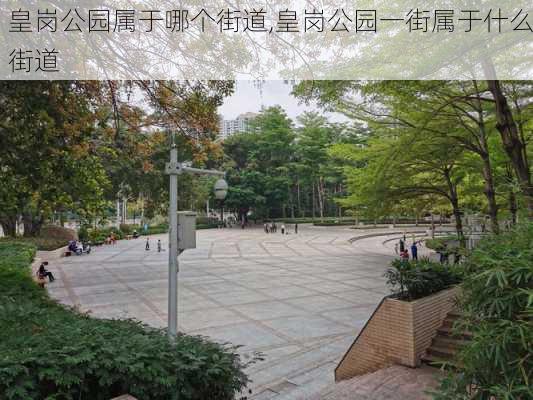 皇岗公园属于哪个街道,皇岗公园一街属于什么街道