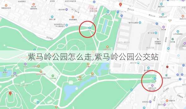 紫马岭公园怎么走,紫马岭公园公交站