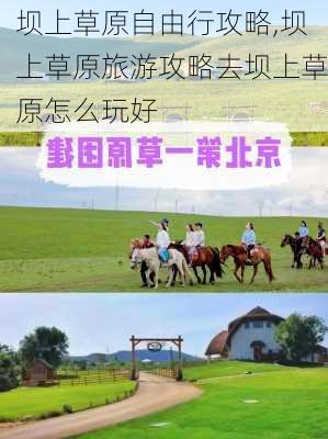 坝上草原自由行攻略,坝上草原旅游攻略去坝上草原怎么玩好