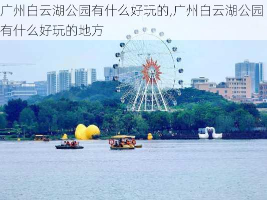 广州白云湖公园有什么好玩的,广州白云湖公园有什么好玩的地方