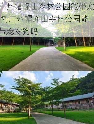 广州帽峰山森林公园能带宠物,广州帽峰山森林公园能带宠物狗吗